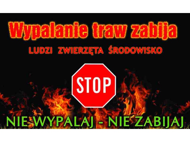 wypalanie traw plakat copy