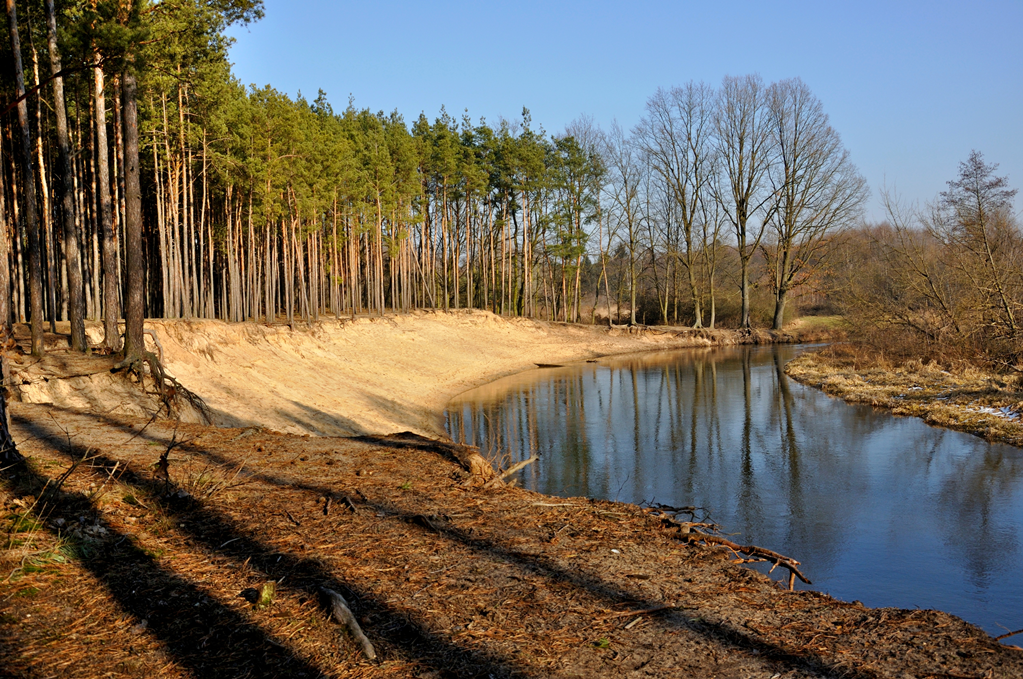 Bolimowski Park Krajobrazowy fot. K.Pira