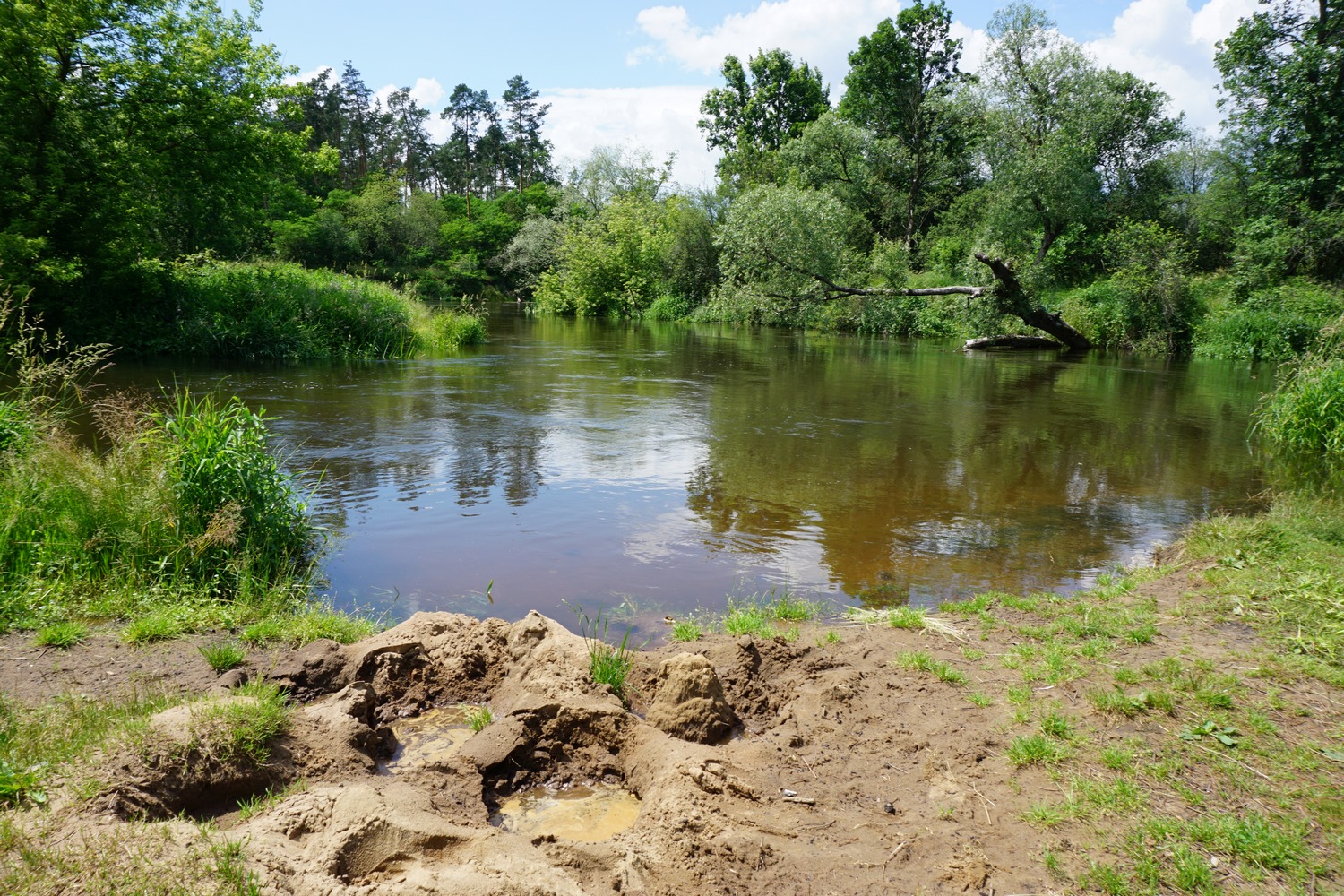 Rembieszów DSC09883