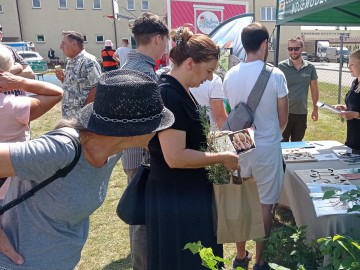 Bolimowski Festiwal Smaków, 