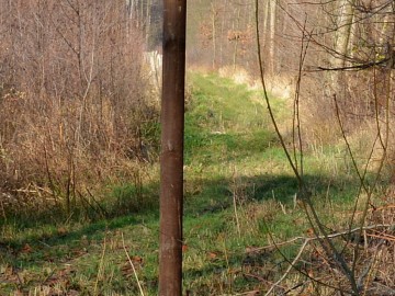 Parkowanie i poruszanie się na terenach leśnych_1, A. Pruszkowska