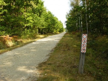 Parkowanie i poruszanie się na terenach leśnych_1, A. Pruszkowska