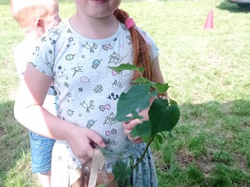 Piknik w Boczkach Chełmońskich, 