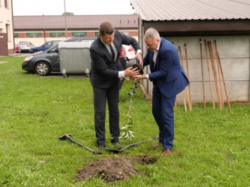 Powstają kolejne..., fot.archiwum Bolimowskiego Parku Krajobrazowego