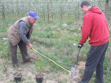 SZCZYT KLIMATYCZNY i BAJECZKI DLA DZIECI…, S.Pytliński