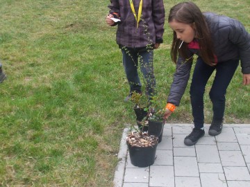 SZCZYT KLIMATYCZNY i BAJECZKI DLA DZIECI…, S.Pytliński