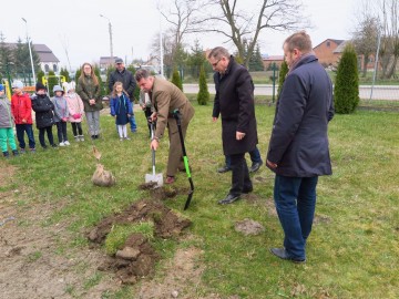 100 drzew na 100 lecie województwa, 