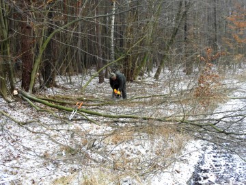 Czynna ochrona mieczyka dachówkowatego i kosaćca syberyjskiego w Spalskim Parku Krajobrazowym, 