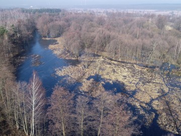 Łąki Ciebłowickie w Spalskim Parku Krajobrazowym, <p>Fot. Piotr Wypych</p>