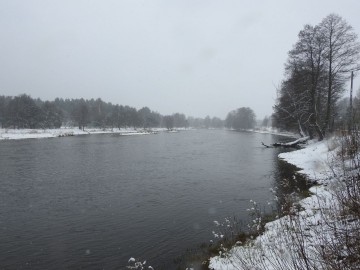 Ptasie przedwiośnie w Spalskim Parku Krajobrazowym, <p>Pilica pod Żądłowicami</p>