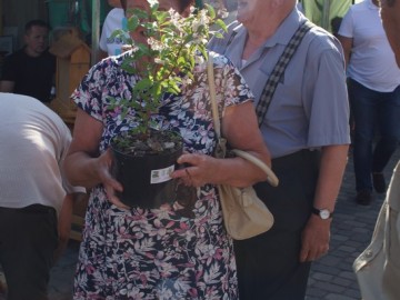 ZPKWŁ na Dniach Przedborza, 