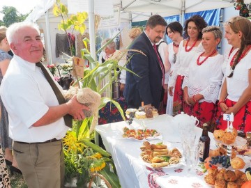 Łódzkie Dożynki Wojewódzkie w Walewicach, 