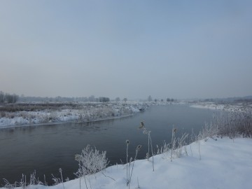 Moniotring Zimujących Ptaków Wodnych na Pilicy - 2021, 