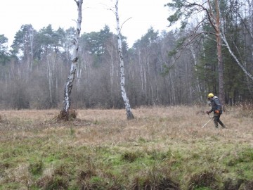 Ochrona czarcikęsika Kluka w Spalskiem PK – etap IV, <p>Grudzień 2020.</p>