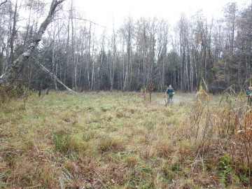 Ochrona czercikęsika Kluka w Spalskiem PK - etap II, 