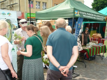 Piknik Rodzinny w Przedborzu 2023, 