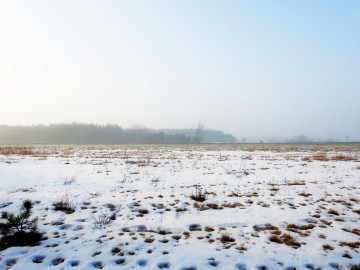 Przedwiośnie w Spalskim PK, <p>Pola pod Gapininem. Fot. Szymon Kielan</p>