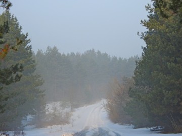 Przedwiośnie w Spalskim PK, <p>Zaśnieżona droga pod Gapininem. Fot. Szymon Kielan</p>