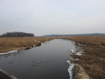 ujście Luciążny, 