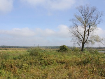 Sprzątanie świata - na Murowańcu 2019, 