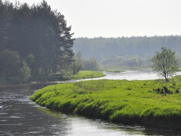 Pilica na wysokości Windugi