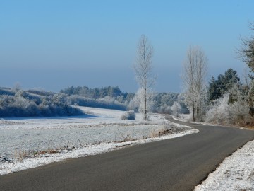 Krajobrazy Przedborskiego PK szronem malowane., 