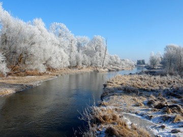 Krajobrazy Przedborskiego PK szronem malowane., 