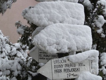 Zimowe pejzaże z Przedborskiego Parku Krajobrazowego., 