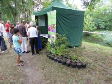 W Grodzie Mściwoja - Strońsko na osi czasu 2019, Krzysztof Kierniakiewicz