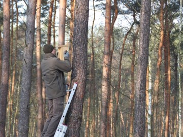 Budki lęgowe w PKMWiW, W. Pogorzelska