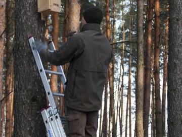 Budki lęgowe w PKMWiW, W. Pogorzelska