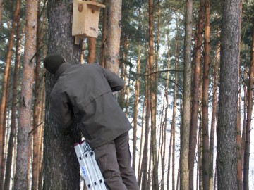 Budki lęgowe w PKMWiW, W. Pogorzelska