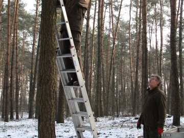 Budki lęgowe w PKMWiW, W. Pogorzelska