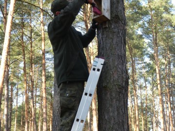 Czyszczenie budek lęgowych w OT SPK, <p>W. Pogorzelska</p>