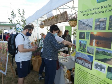 Dożynki wojewódzkie w Uniejowie, W. Pogorzelska