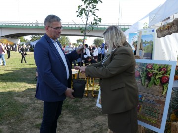 Dożynki wojewódzkie w Uniejowie, W. Pogorzelska