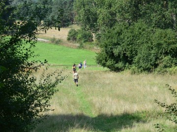 Kolorowa Lokomotywa po raz drugi w PKMWiW, F. Walasik