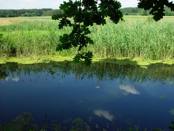 Granatowe Źródła