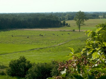 Widok ze skarpy w Strońsku