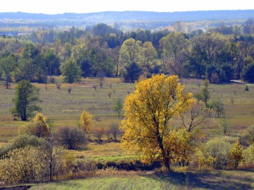 Panorama doliny Warty pod Strońskiem