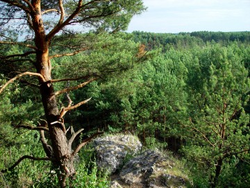 Widok z Góry św. Genowefy