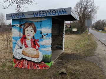 Nowe oblicze przystanków autobusowych w PKMWiW, <p>K. Kierniakiewicz</p>