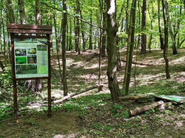 Odnowienie ścieżki dydaktycznej Wokół rezerwatu Hołda, <p>K. Kierniakiewicz</p>