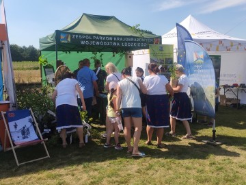 Piknik województwa łódzkiego w Ostrówku, 