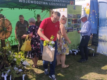 Piknik województwa łódzkiego w Ostrówku, 