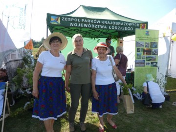 Piknik województwa łódzkiego w Ostrówku, 