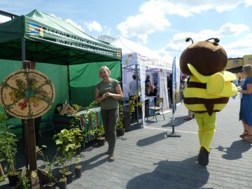 Piknik Rodzinny w Wieluniu, 