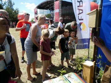 Piknik wojewódzki w Wieruszowie, 