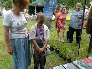 Piknik Rodzinny na placu parafialnym przy Bazylice Mniejszej p.w. NMP w Zduńskiej Woli, 