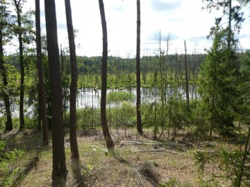 Rajd rowerowy po ZPK z SP w Kraszkowicach, <p>K. Kierniakiewicz</p>